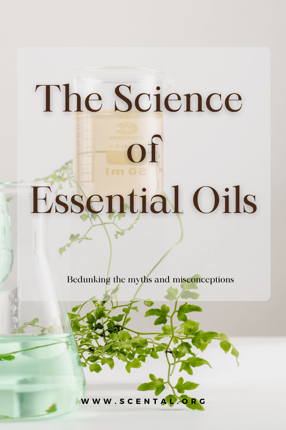 Facts About Essential Oils and what the science actually says.