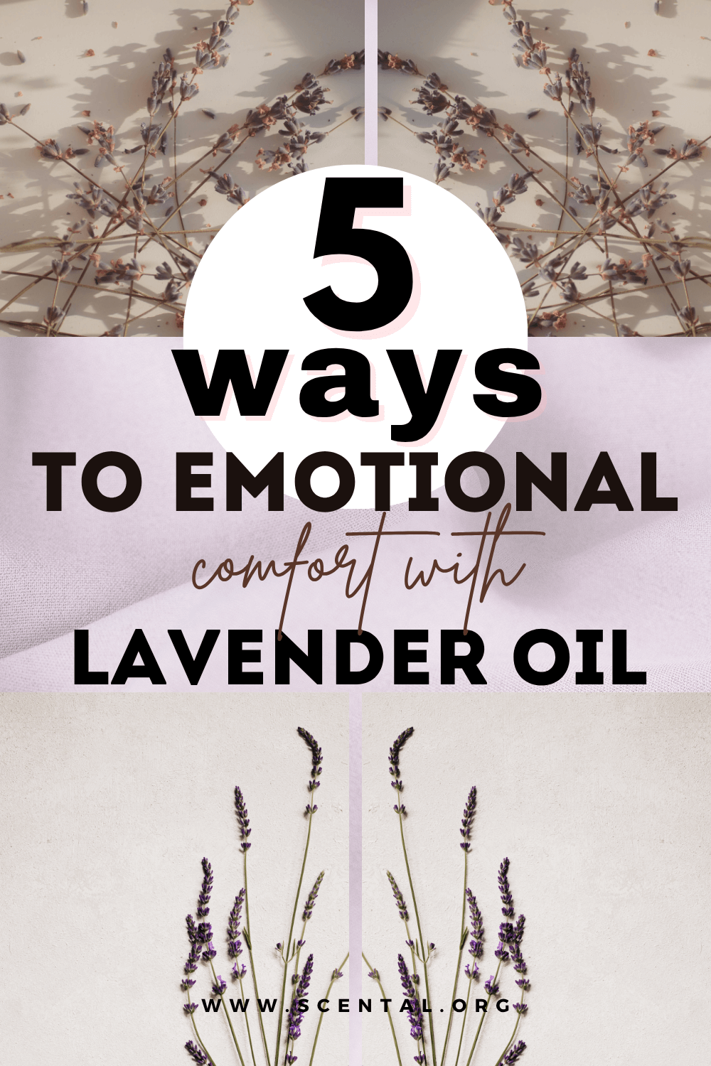 Discover the Emotional Comfort of Lavender Essential Oil