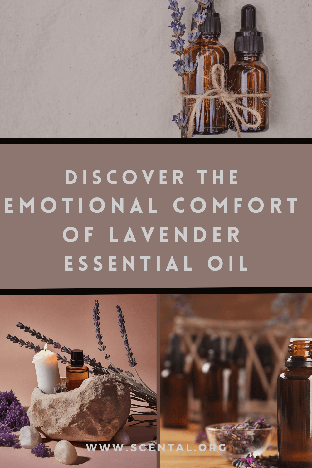 Discover the Emotional Comfort of Lavender Essential Oil