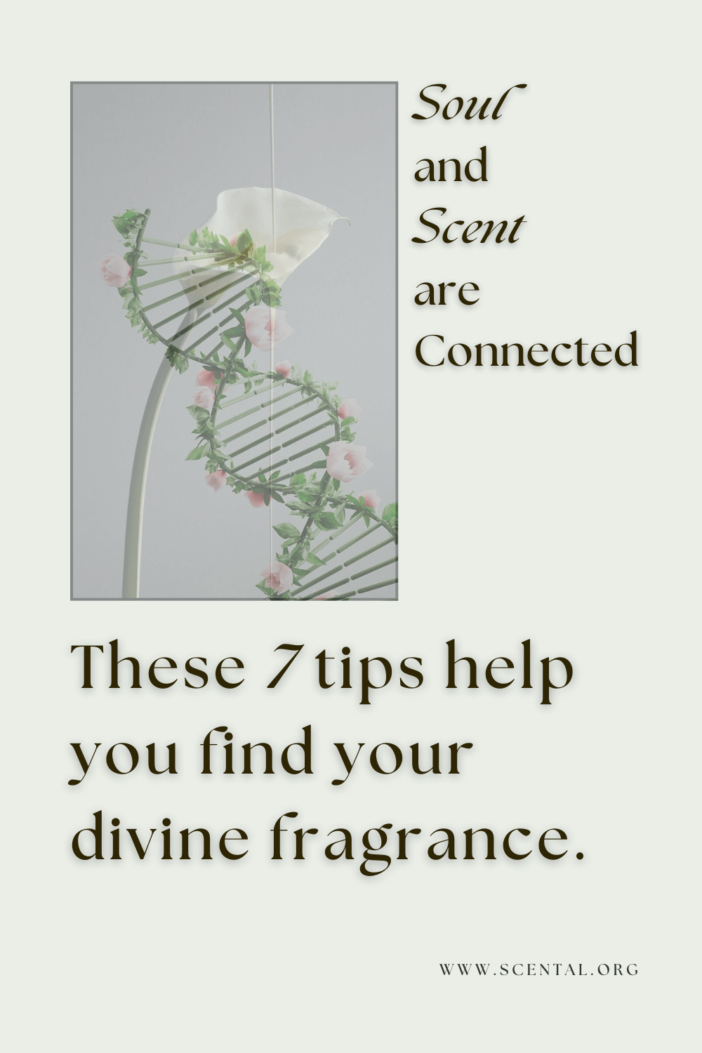 Soul Scent with Essential Oils