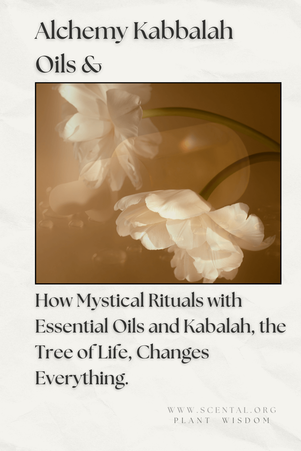 kabbalah tree of life