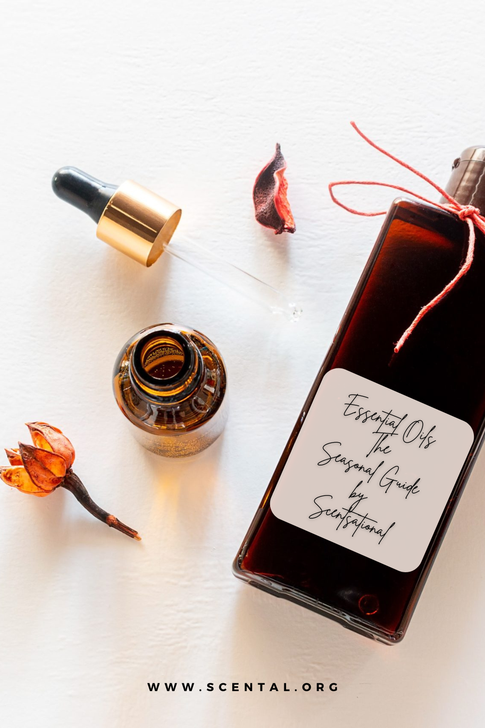 Seasonal Guide with Essential Oils