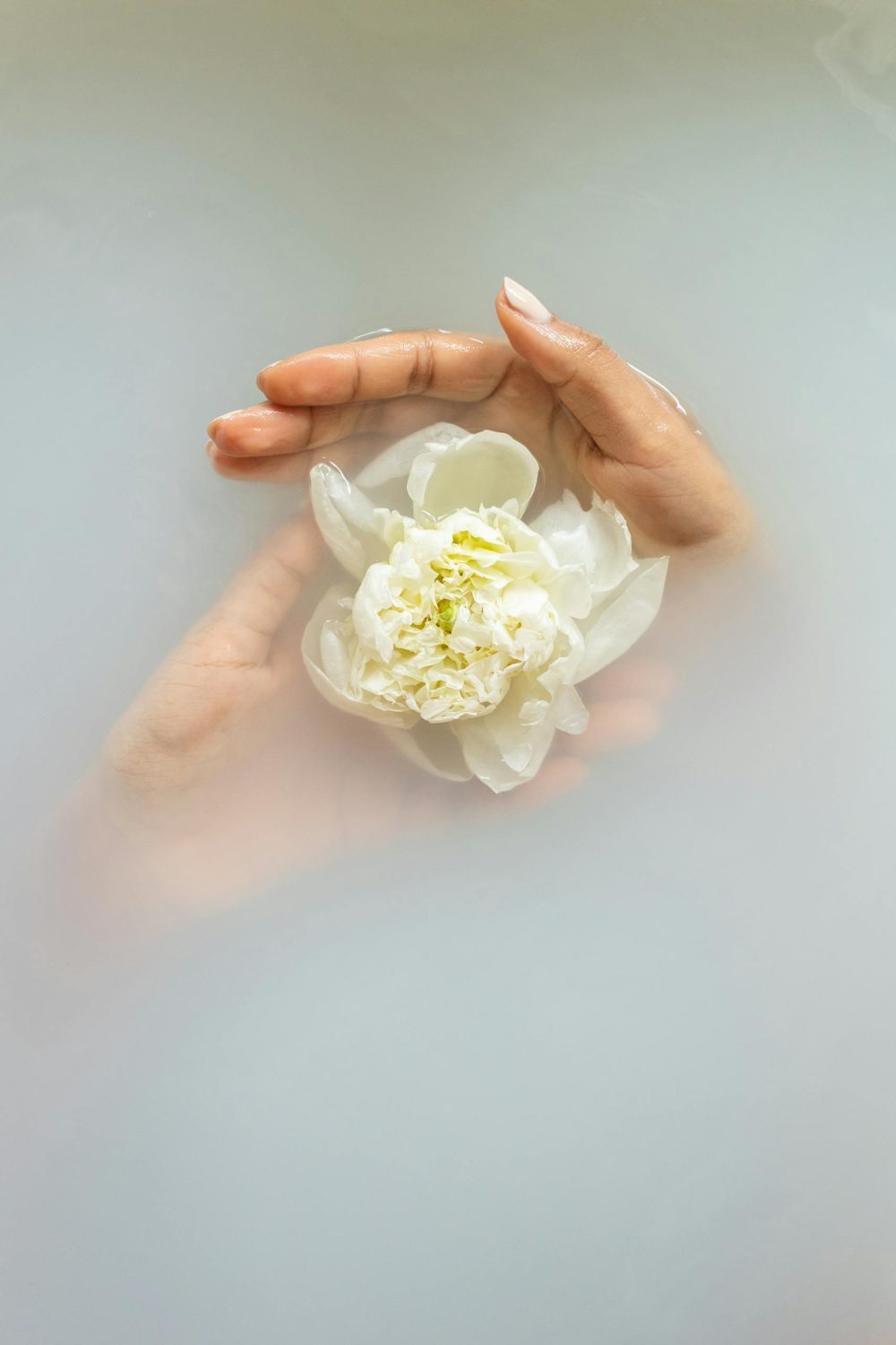 Feminine Essential Oils for Emotional Grounding and Inner Connection
