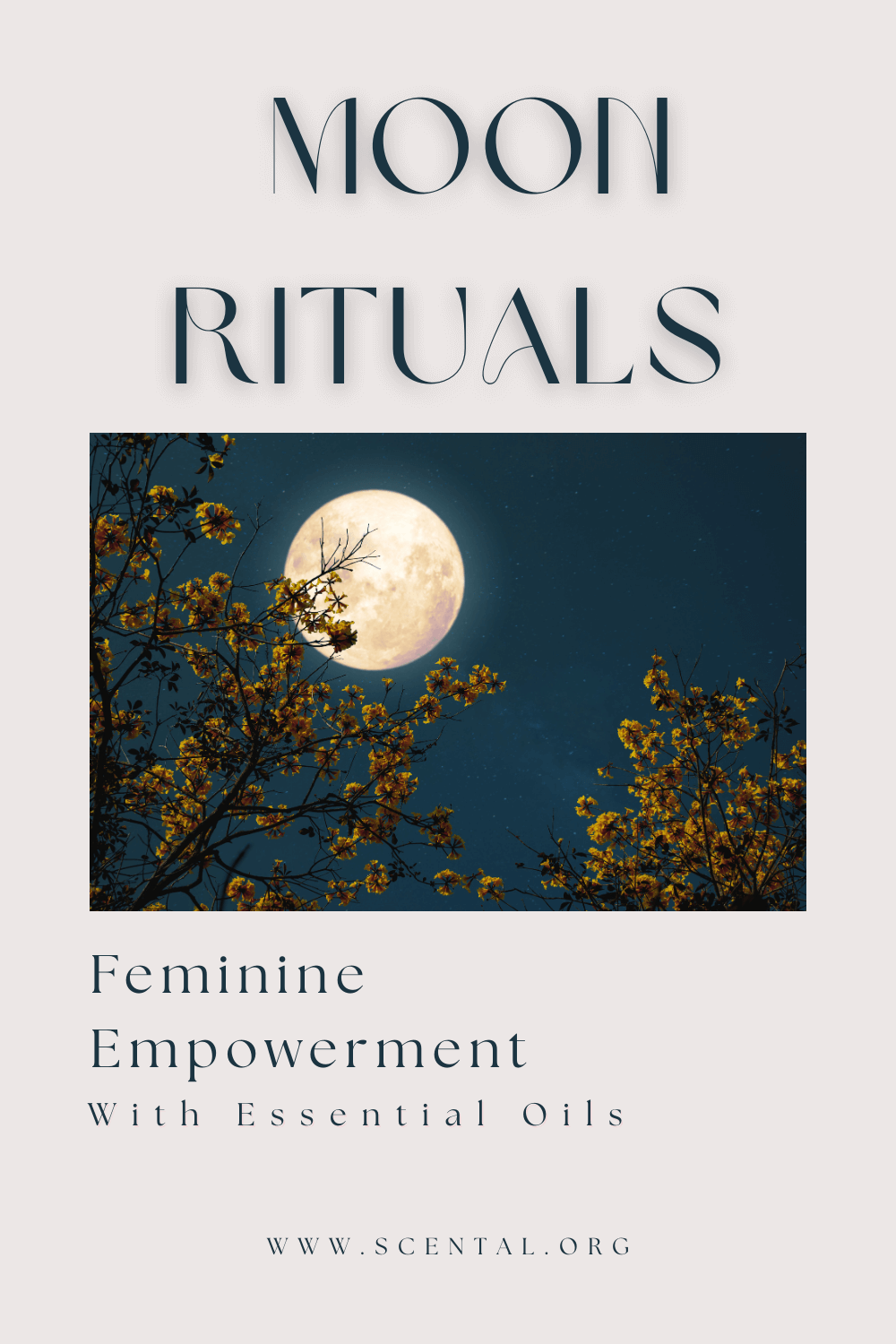 Moon Rituals: How Essential Oils Amplify the Feminine Energy