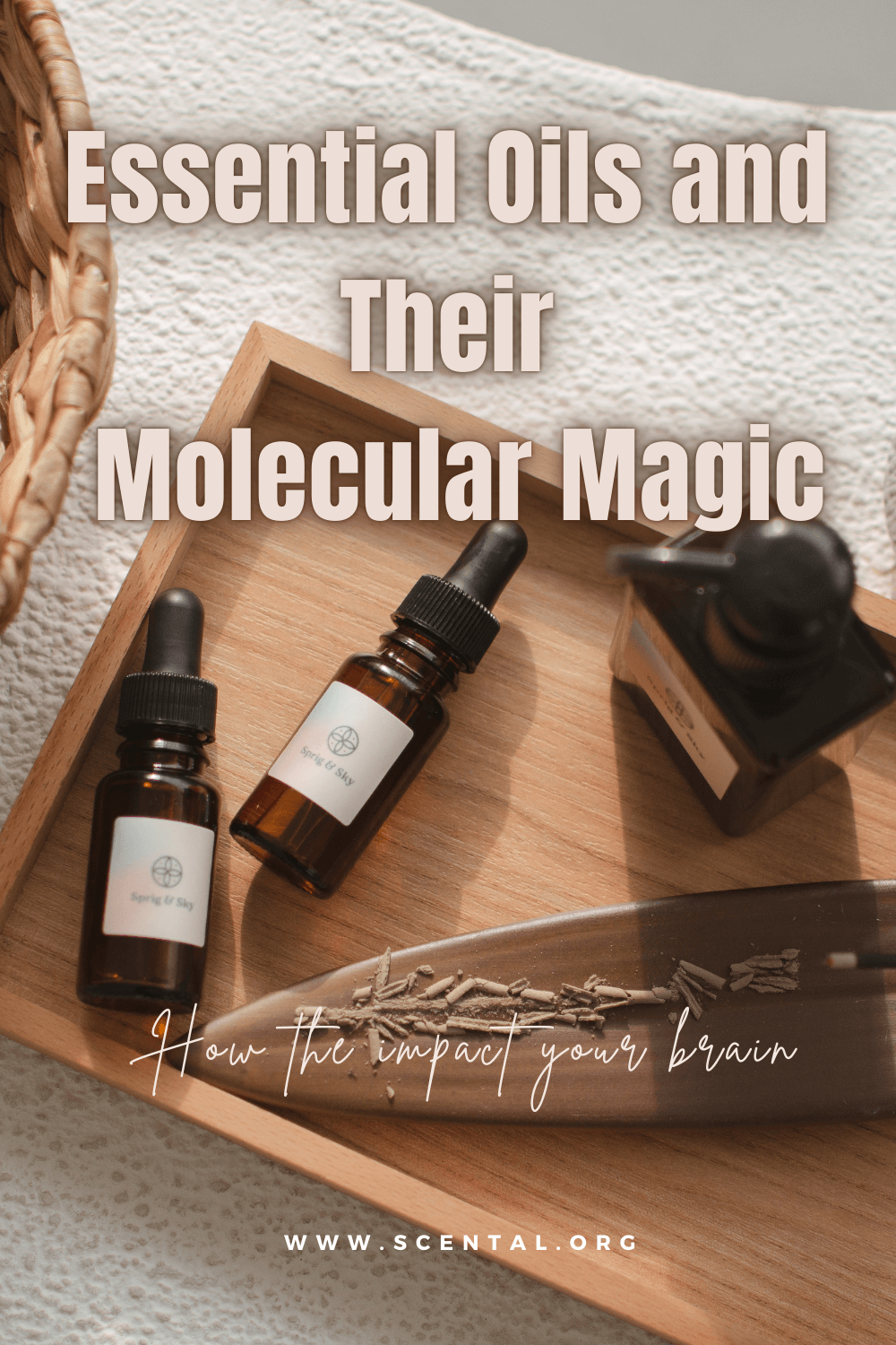 How Essential Oils Work on Your Brain and Their Molecular Magic