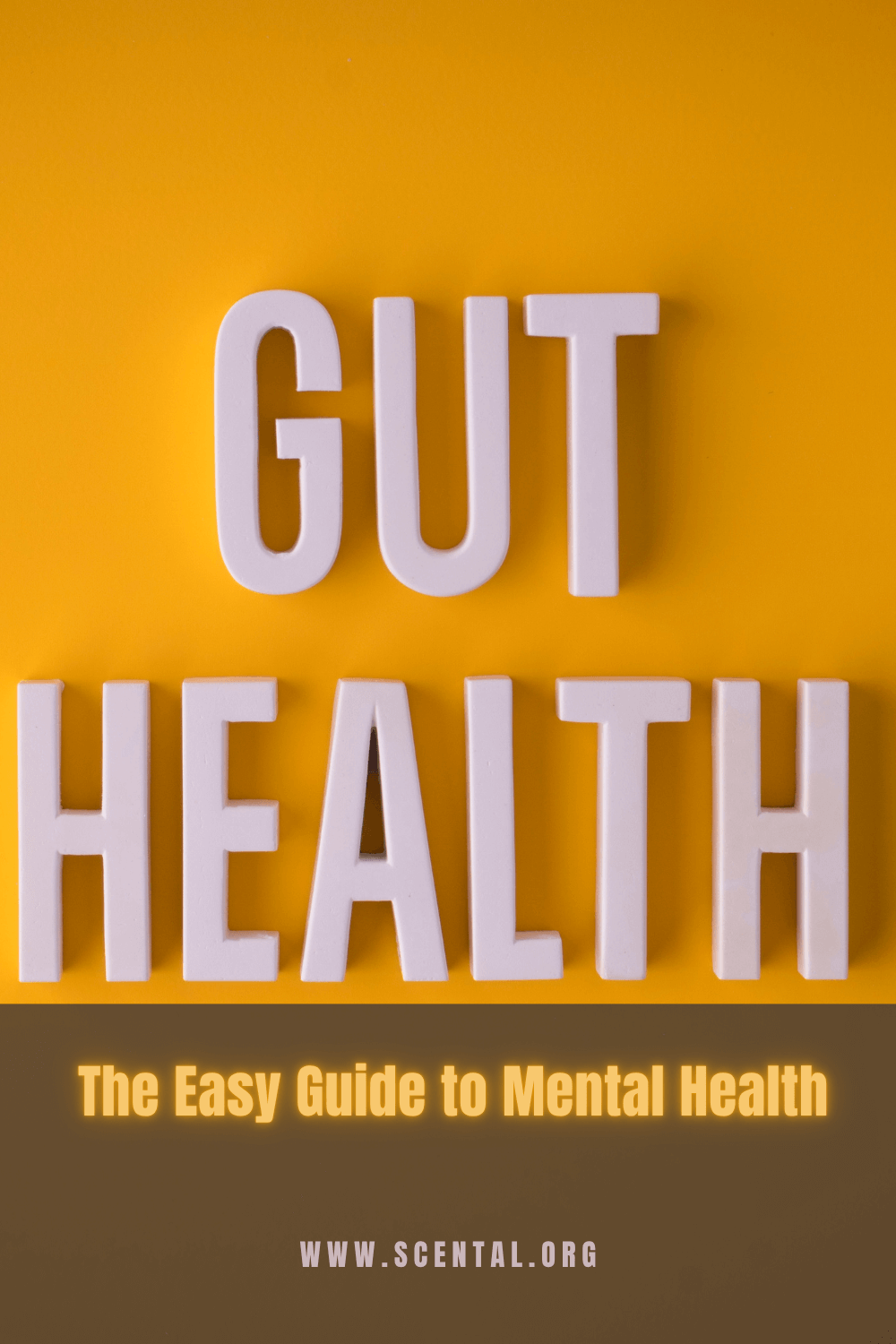 Essential Oils That Impact Your Microbiome