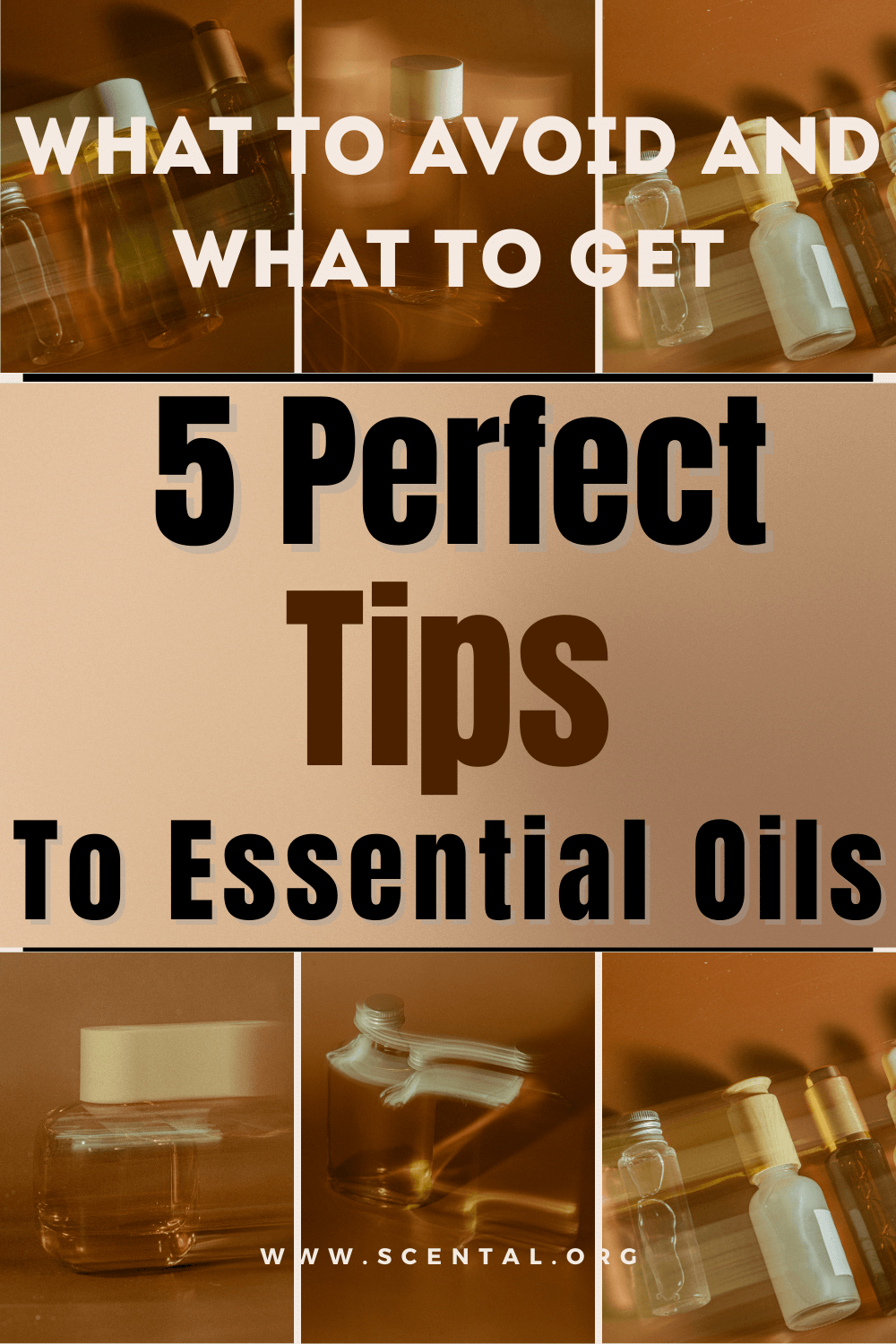How to Choose High-Quality Essential Oils: A Buyer’s Guide- budget friendly