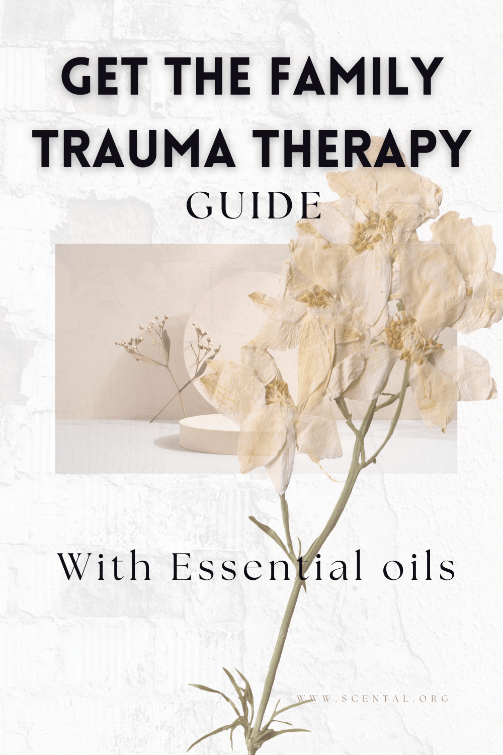 How to Handle Stress When Family Trauma Makes Everything Harder