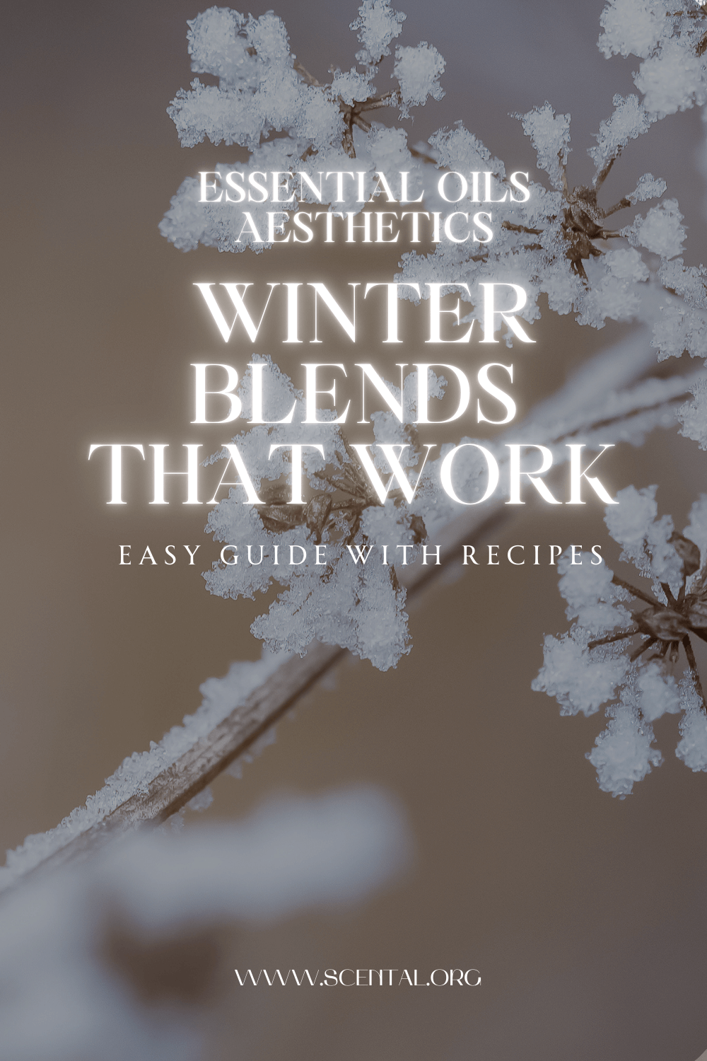 Vital Winter Essential Oils That Work