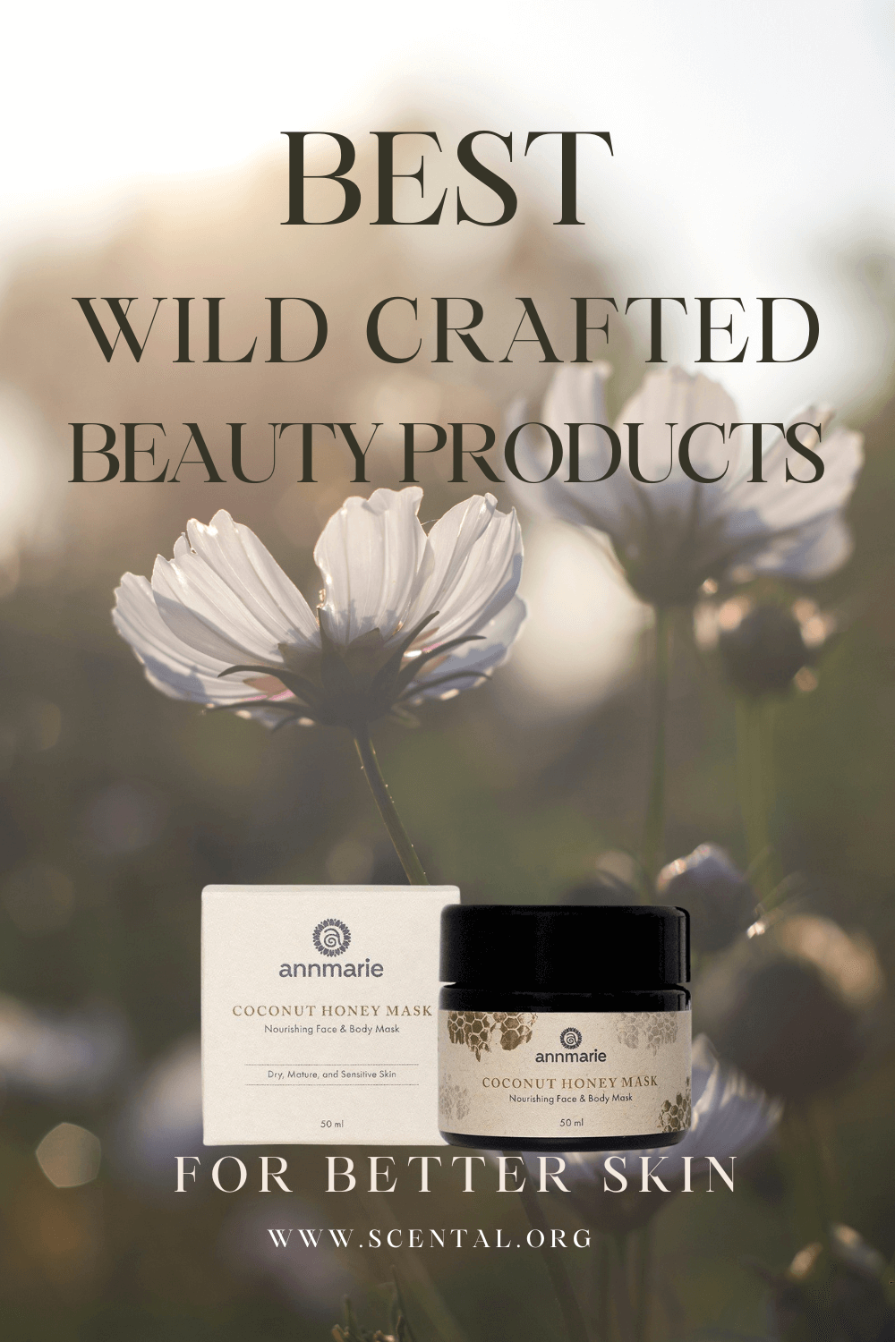 annmarie CLEAN BEAUTY products with ANNMARIE - Beauty Products