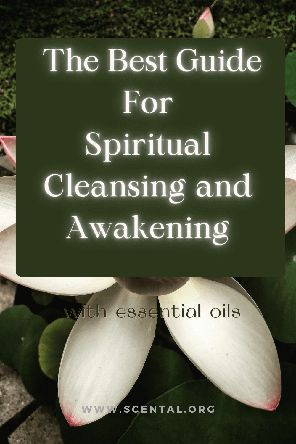Essential Oils for Cleansing Spiritually