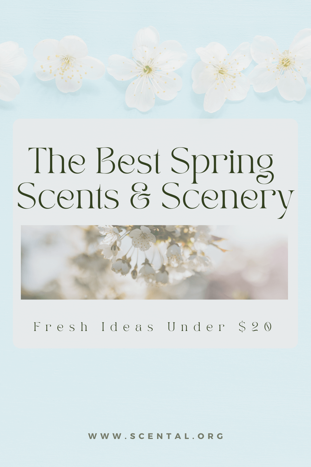 Spring Scents and Scenery: Fresh Ideas Under $20