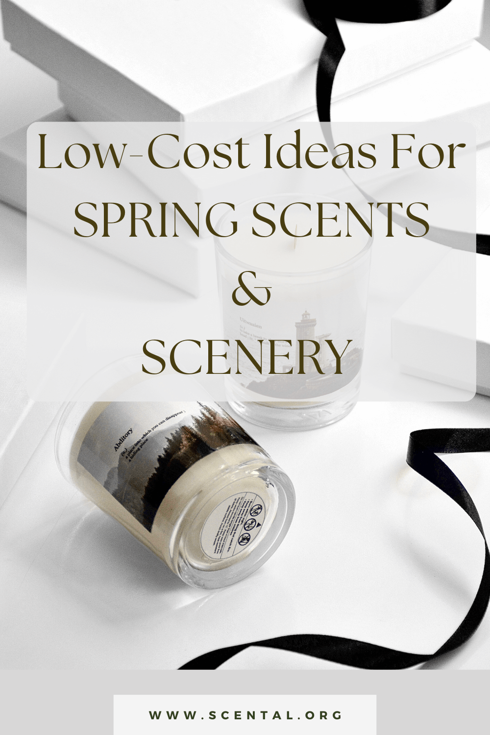 Spring Scents and Scenery: Fresh Ideas Under $20