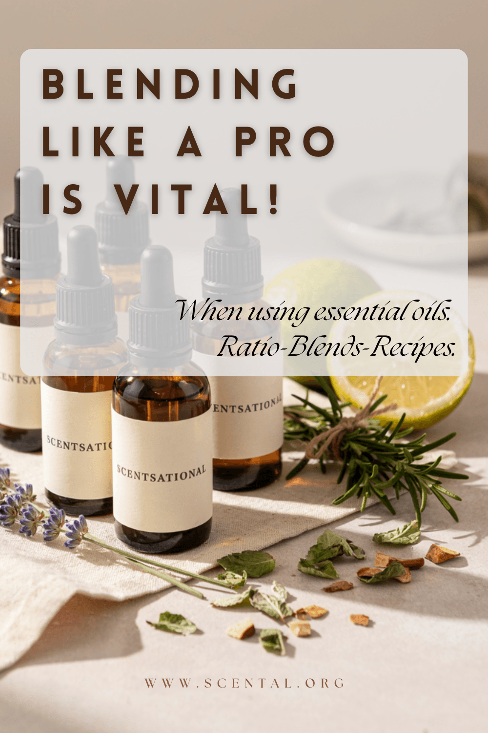 Essential oils recipes, blending guide