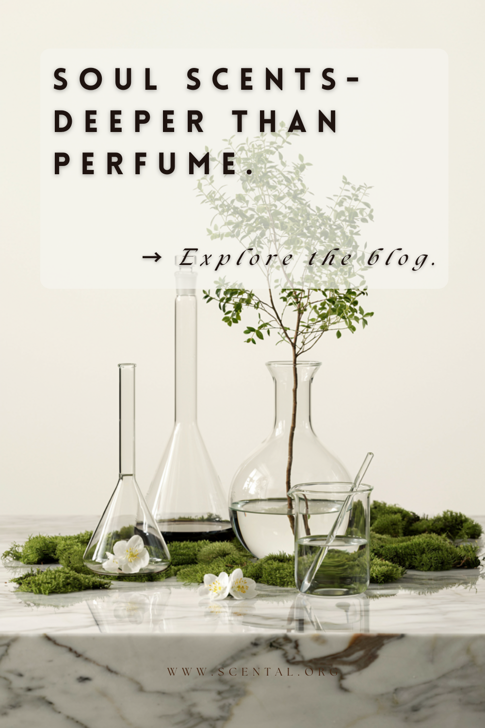 mystical garden soul scents