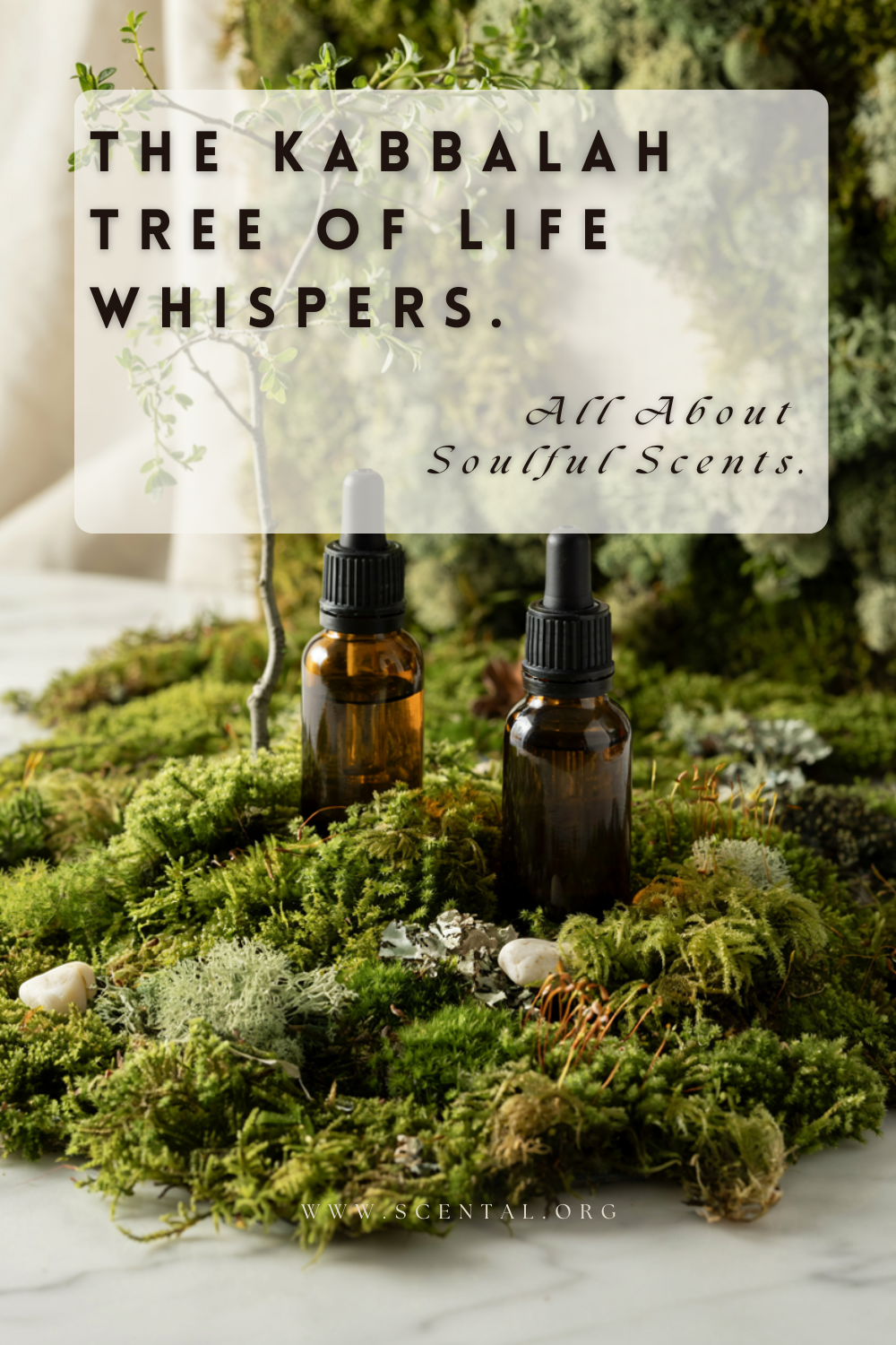 mystical garden soul scents